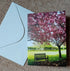 Bench In The Blossom (card)