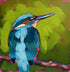 Kingfisher #2 - Original Acrylic Painting