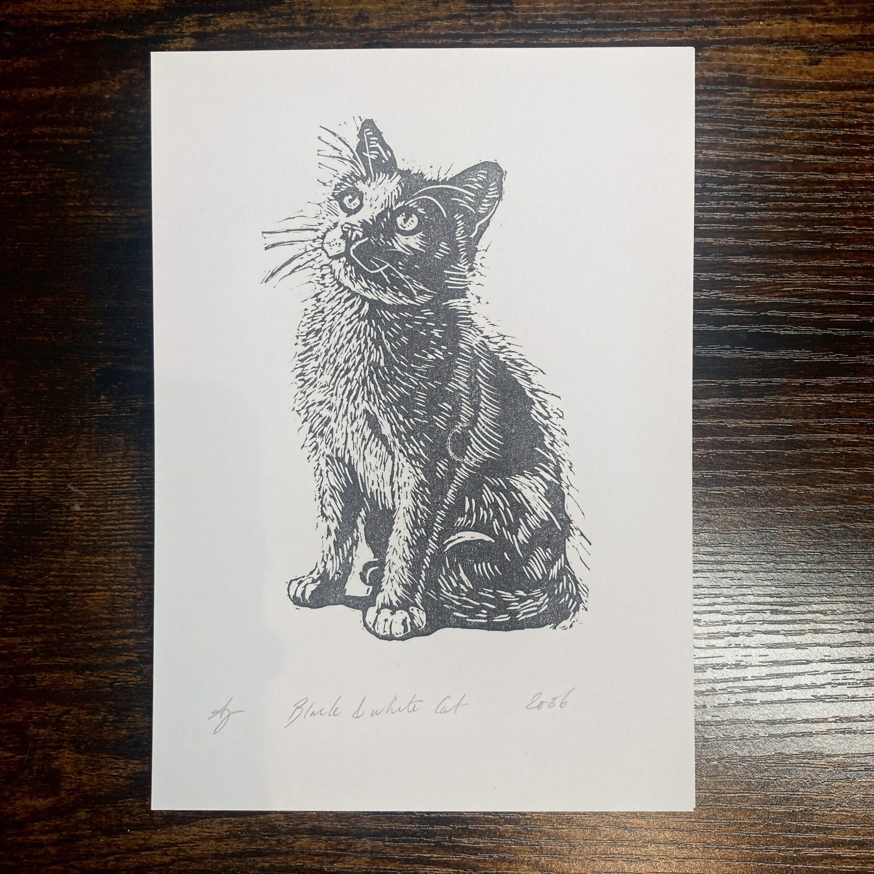 B&W Cat - 5x7