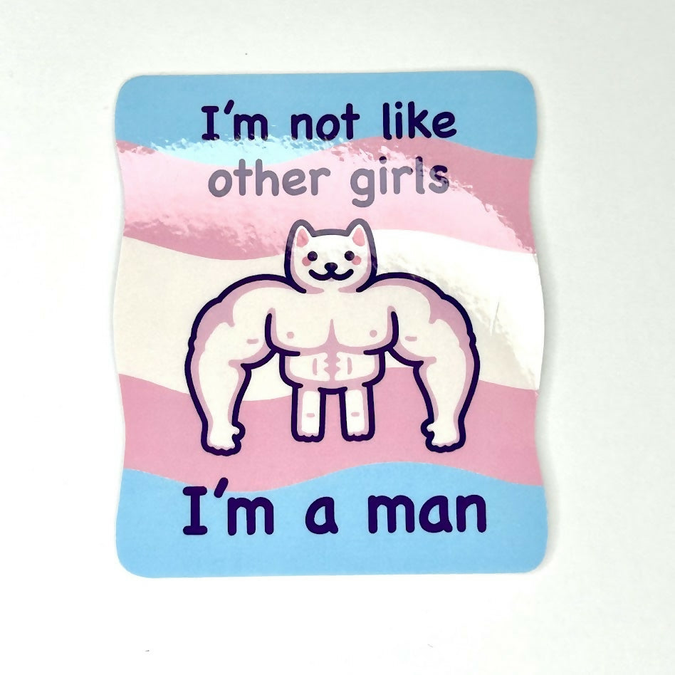 LGBTQ Cat Vinyl Sticker | I'm Not Like Other Girls