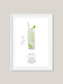 Mojito Recipe Cocktail Art Print