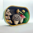 Clay Toadstool Scene in a Metal Tin