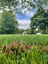 Fun Guys In Pearson's Park ( frame 29x35.5)