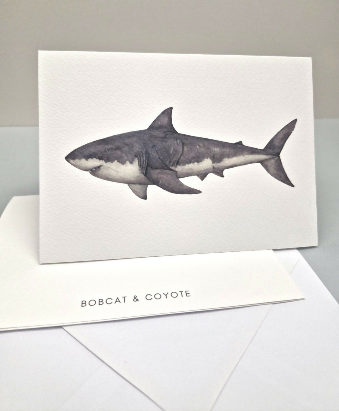 Shark Greeting Card