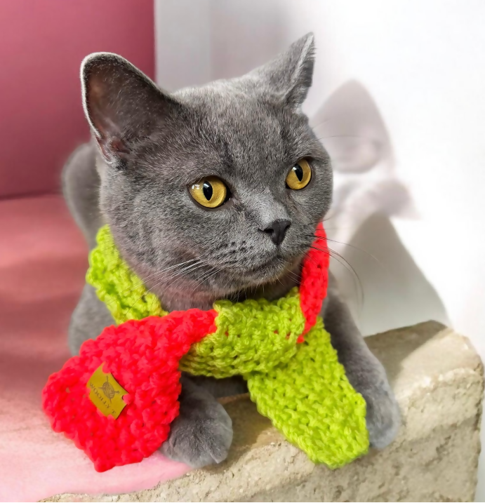 PET SCARF, FUN, BRIGHT PINK AND LIME- CAT OR SMALL DOG