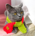 PET SCARF, FUN, BRIGHT PINK AND LIME- CAT OR SMALL DOG