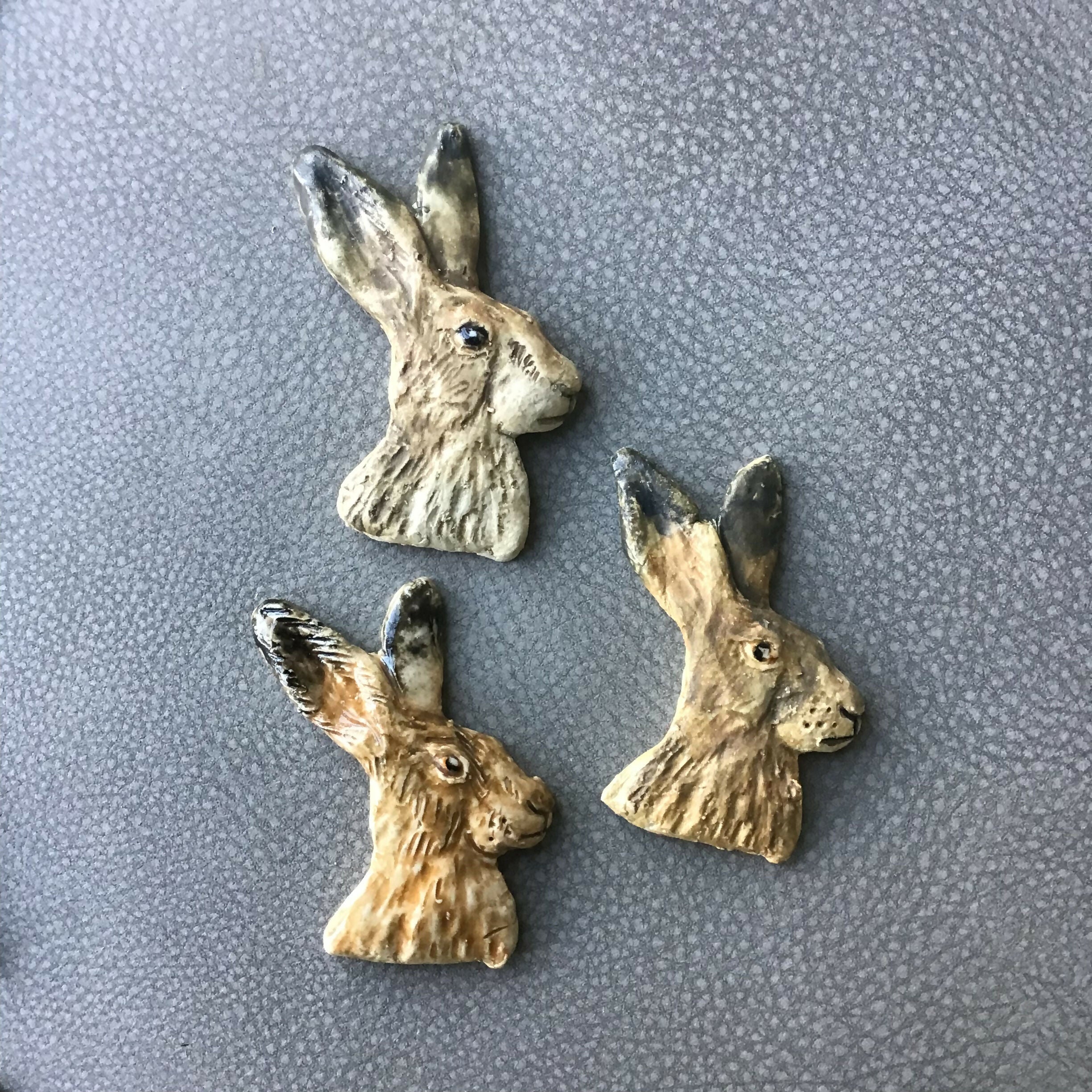 Animal Magnets