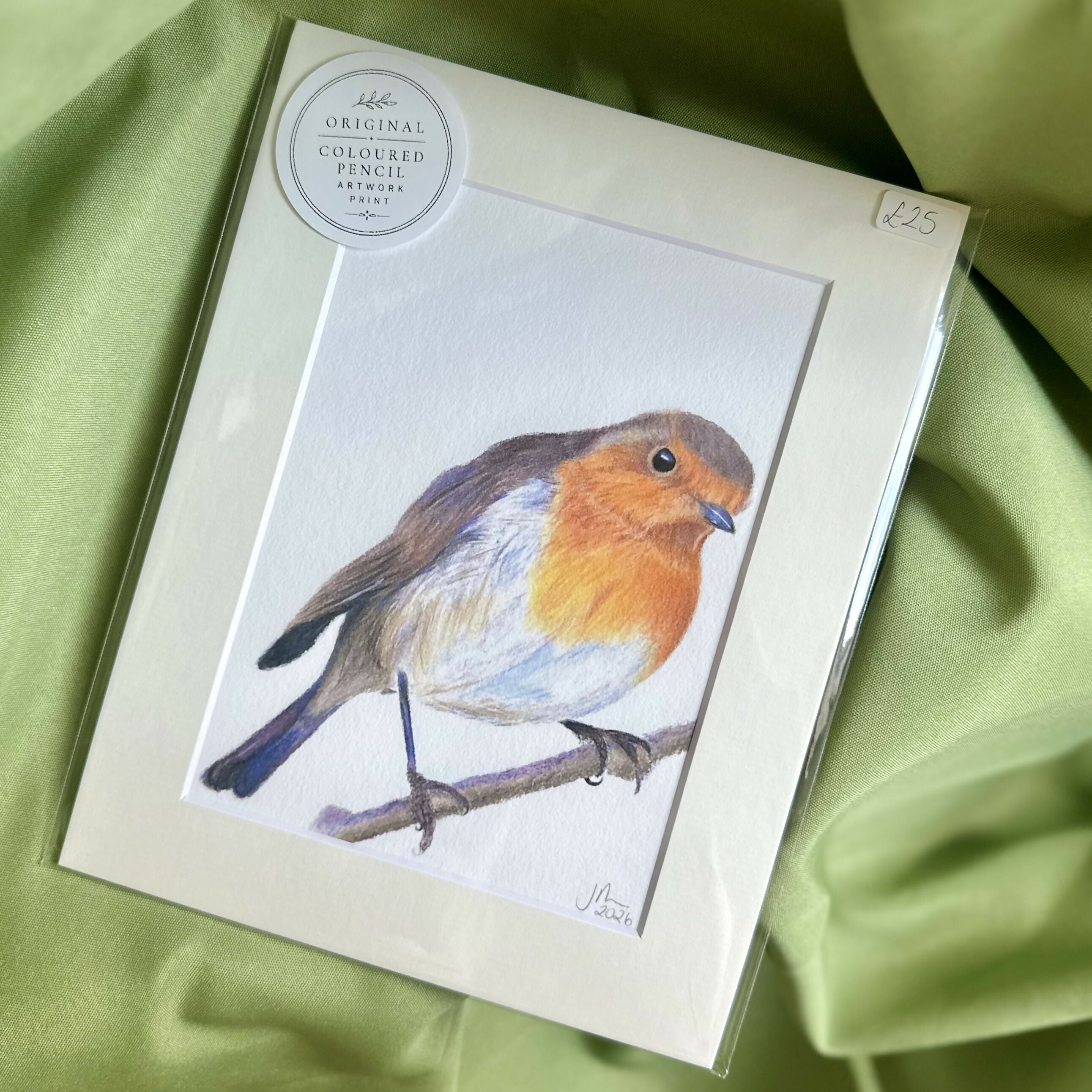 Robin Fine Art Print | Luxury Velvet Fine Art Print | Garden Bird Decor