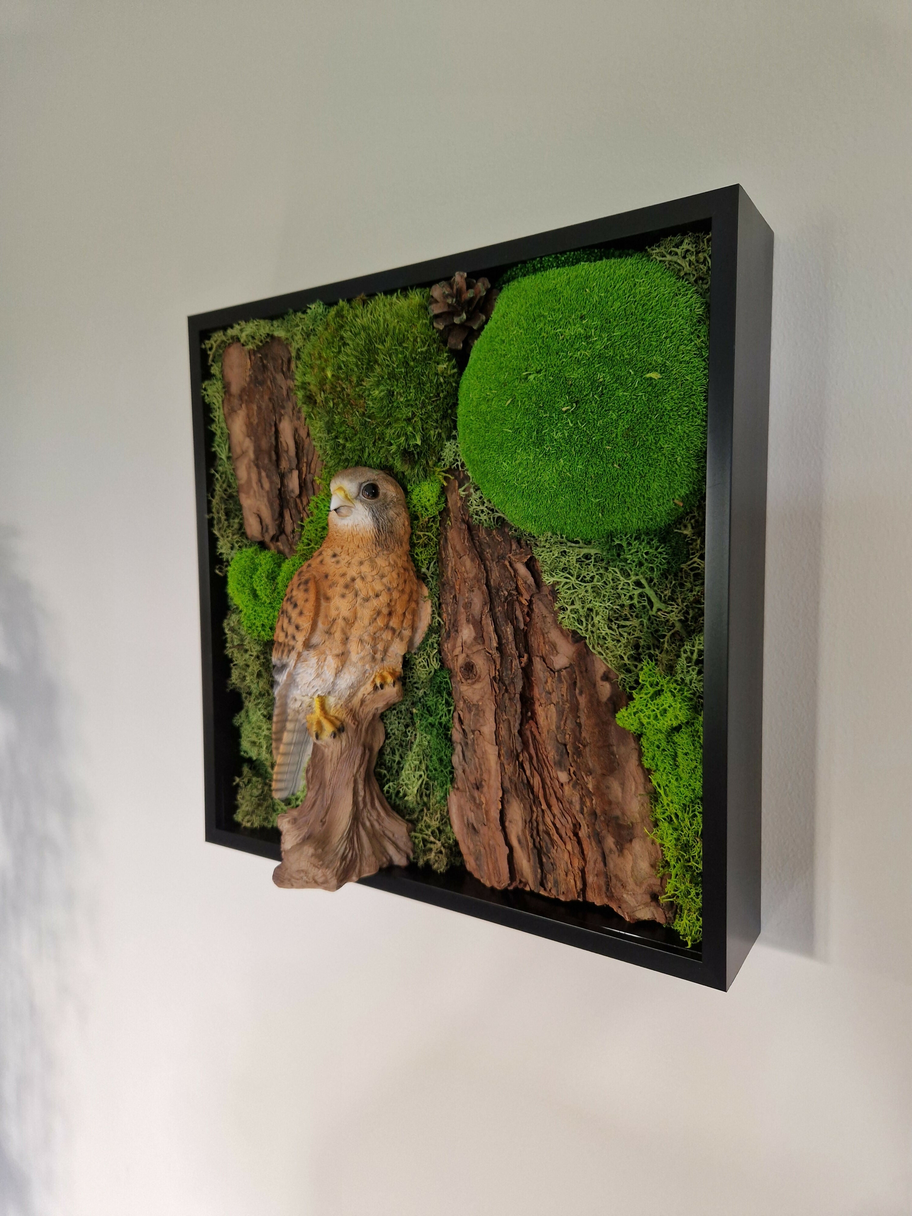 Kestrel