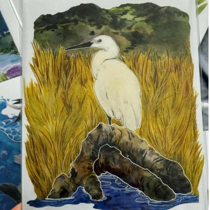 A5 Wild birds Prints