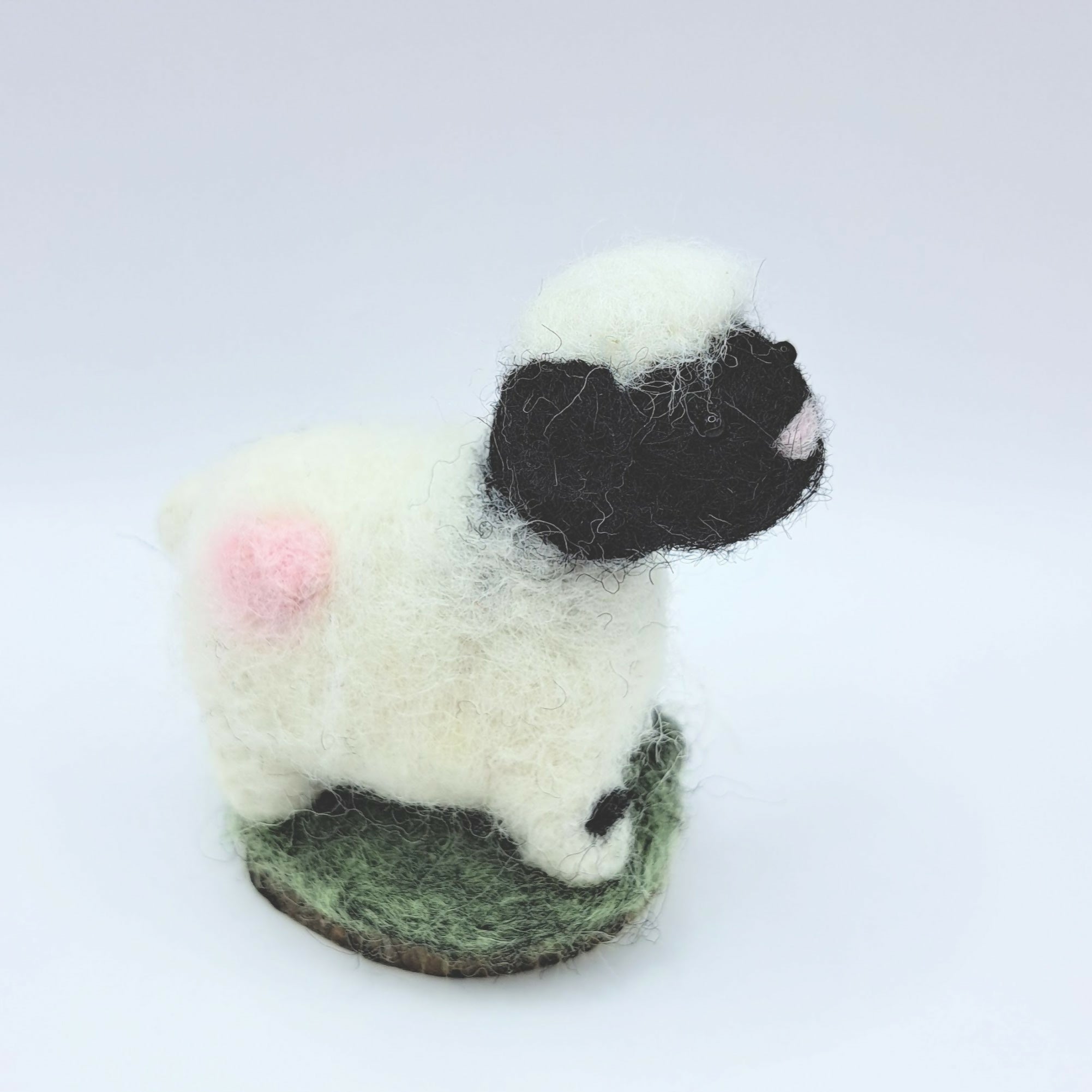 With Love Valais Sheep