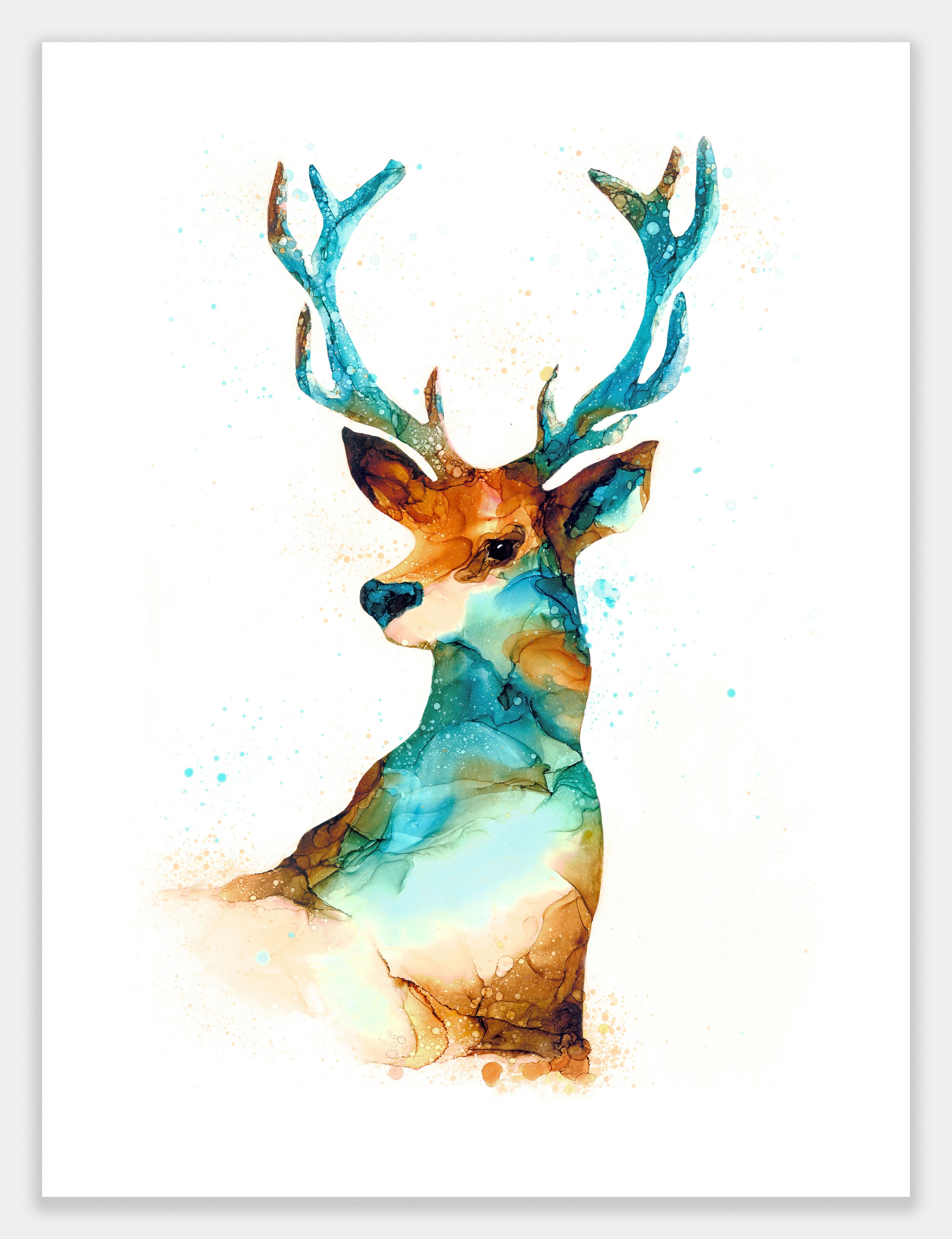 Stag (Cervidae) Print