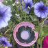 Bubble Bowl