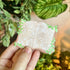 Leafy Journal Sticky Notes