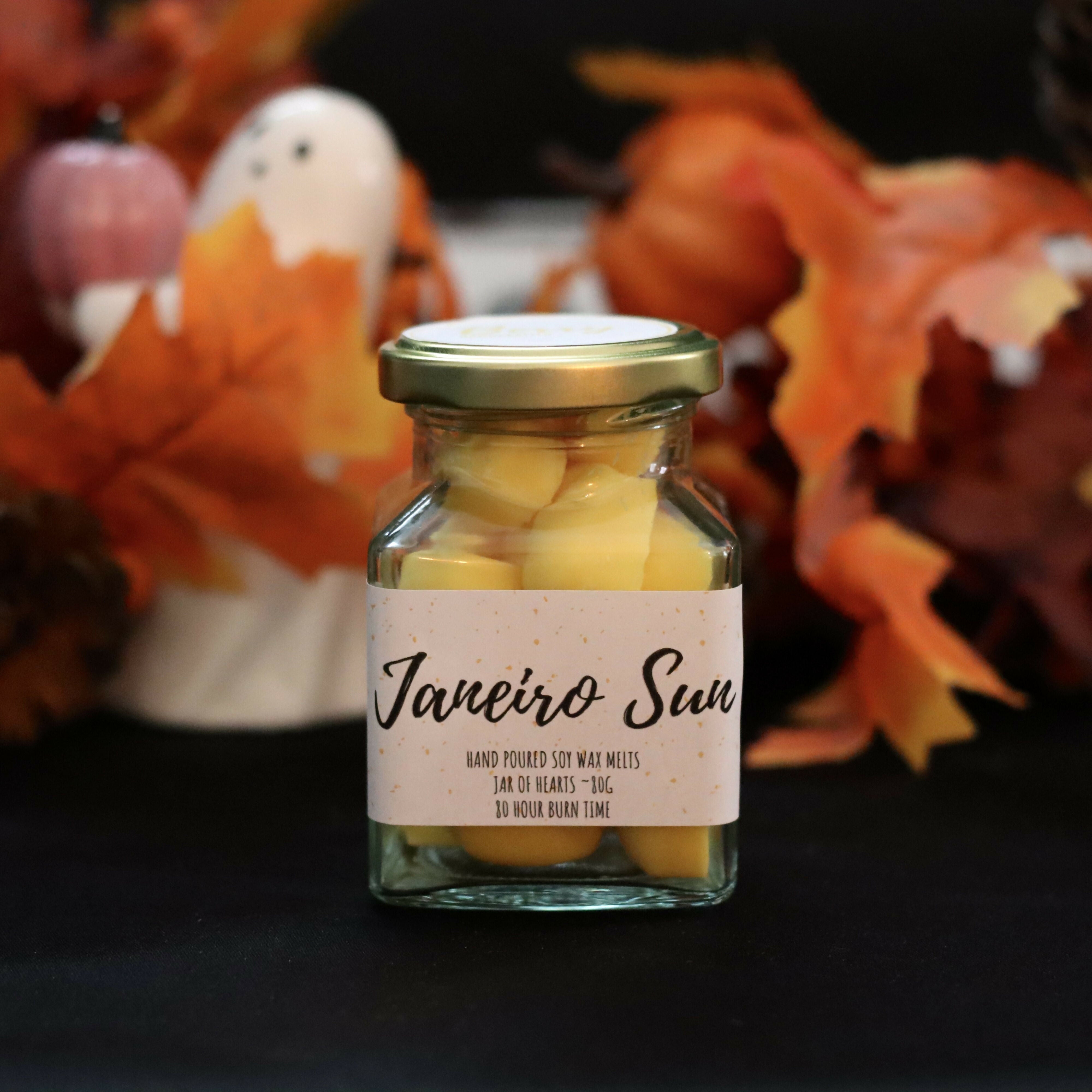 Hand Poured Soy Wax Melts - Janeiro Sun