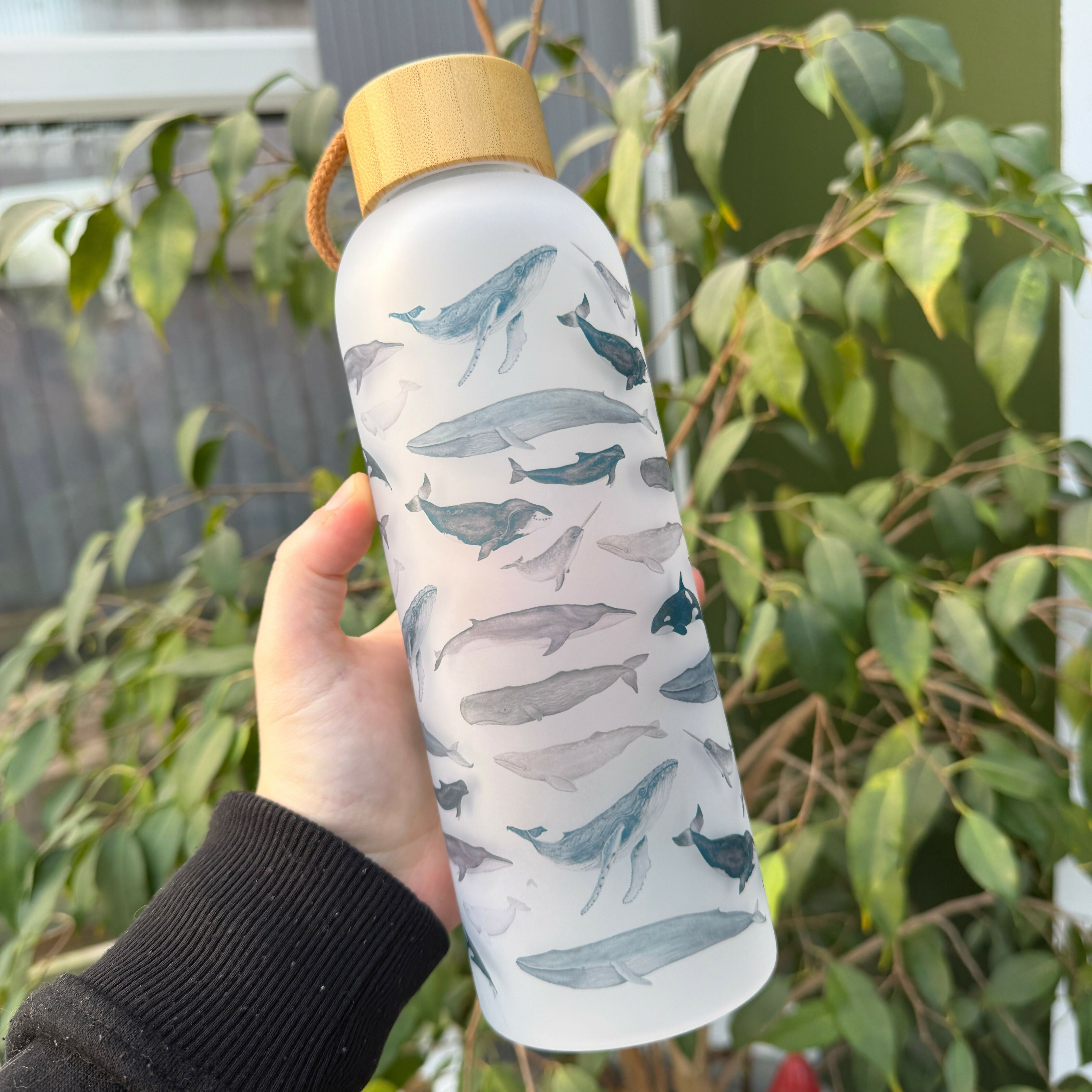 Whale - 25oz Glass Water Bottle with Bamboo Lid
