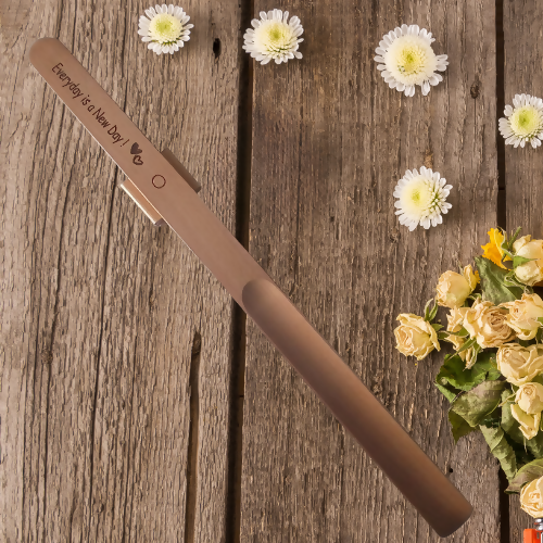 Everyday is a New Day Shoehorn