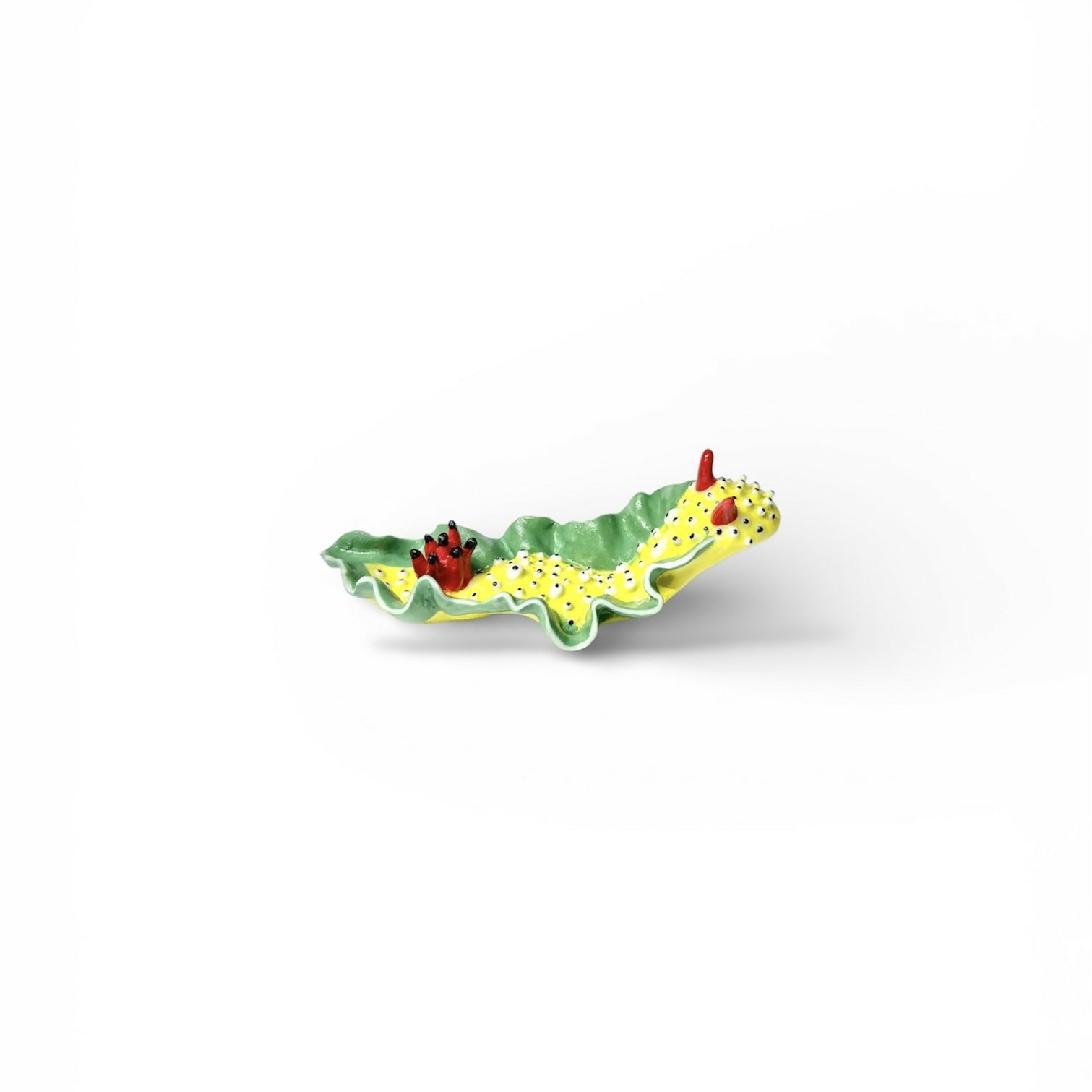 Yellow Porcelain Sea Slug