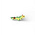 Yellow Porcelain Sea Slug