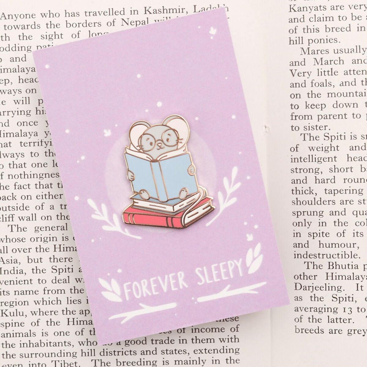 Mouse with Books - Enamel Pin