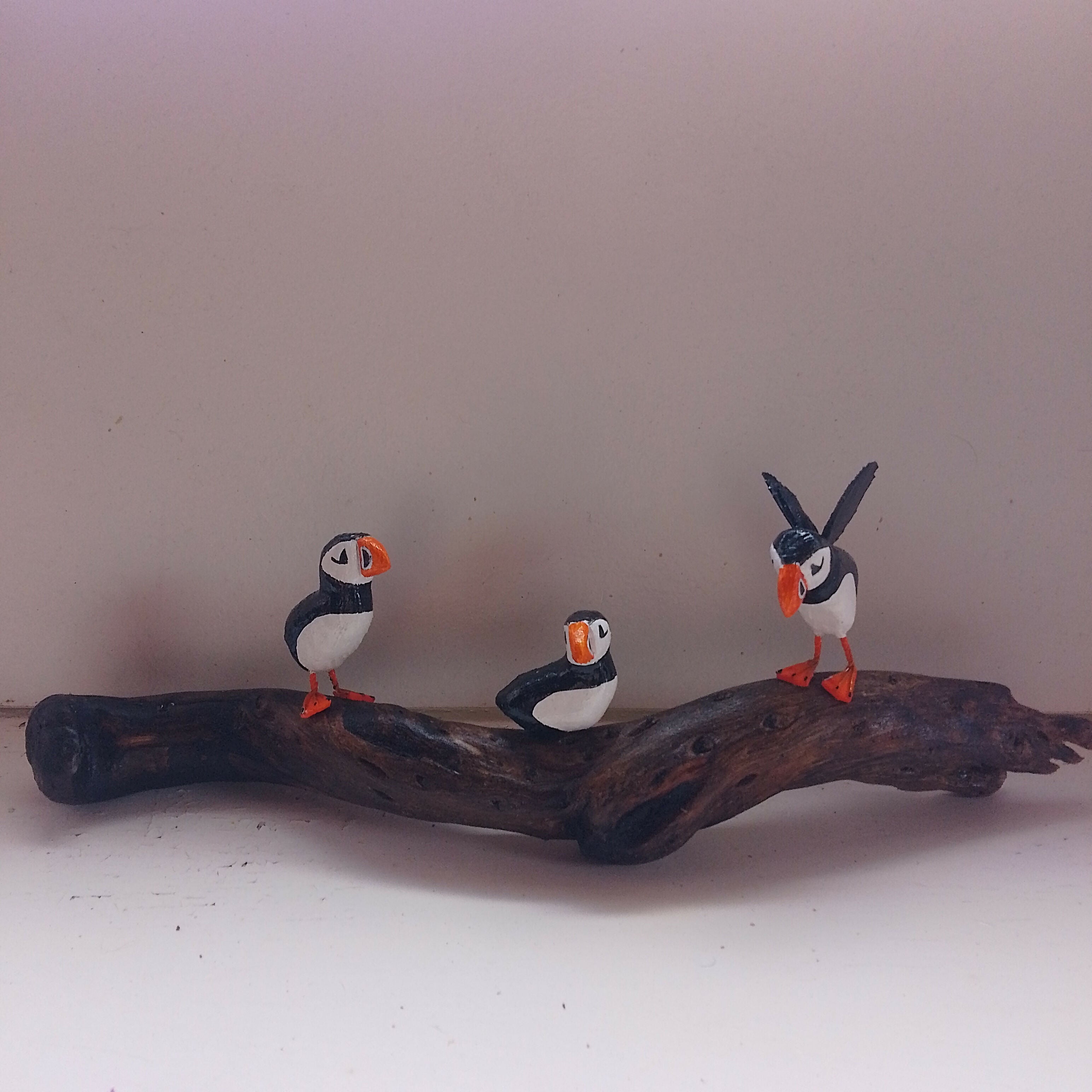 Three Puffins On Branch