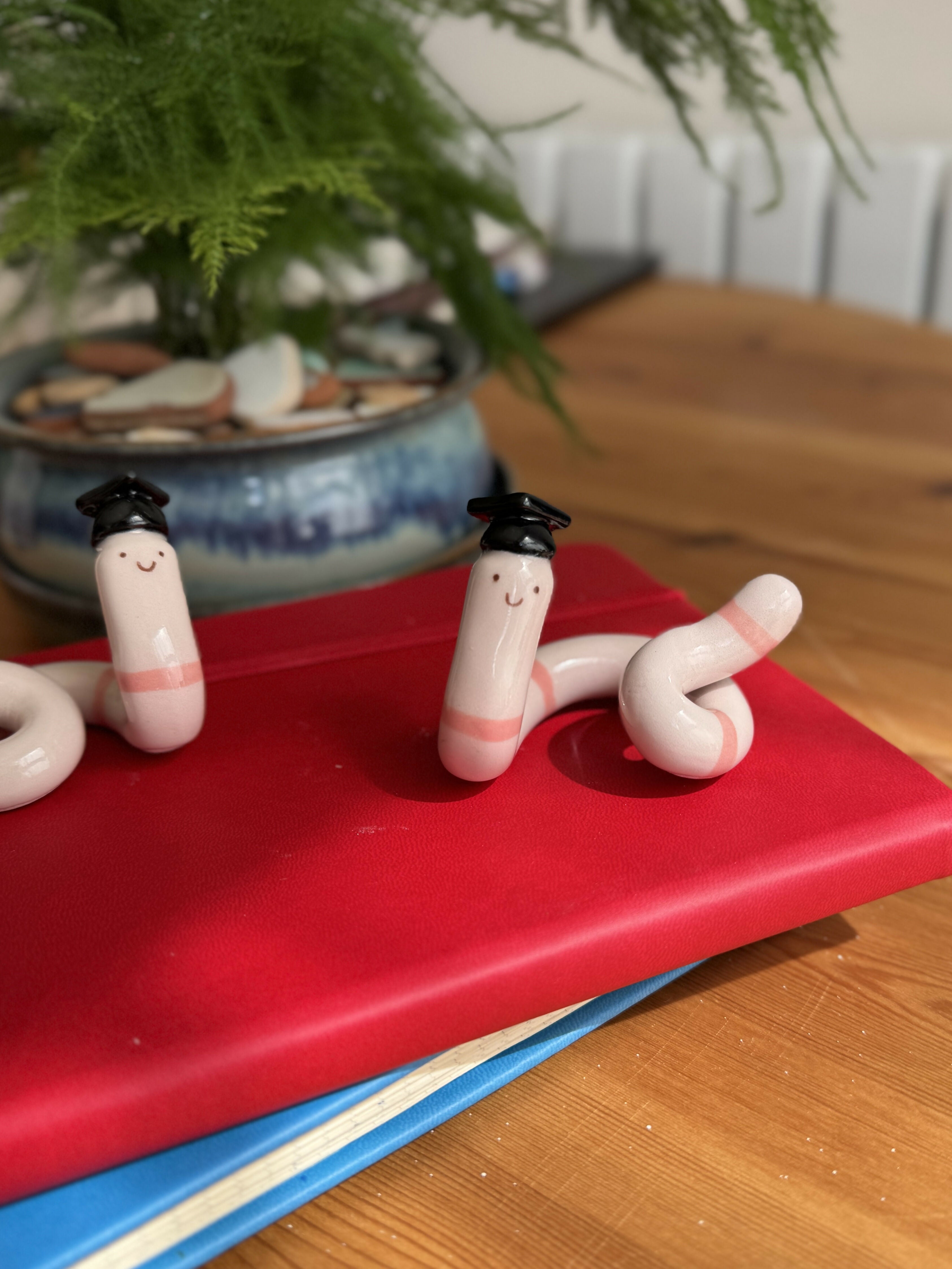 Graduation worm, Handmade Ceramic Ornament