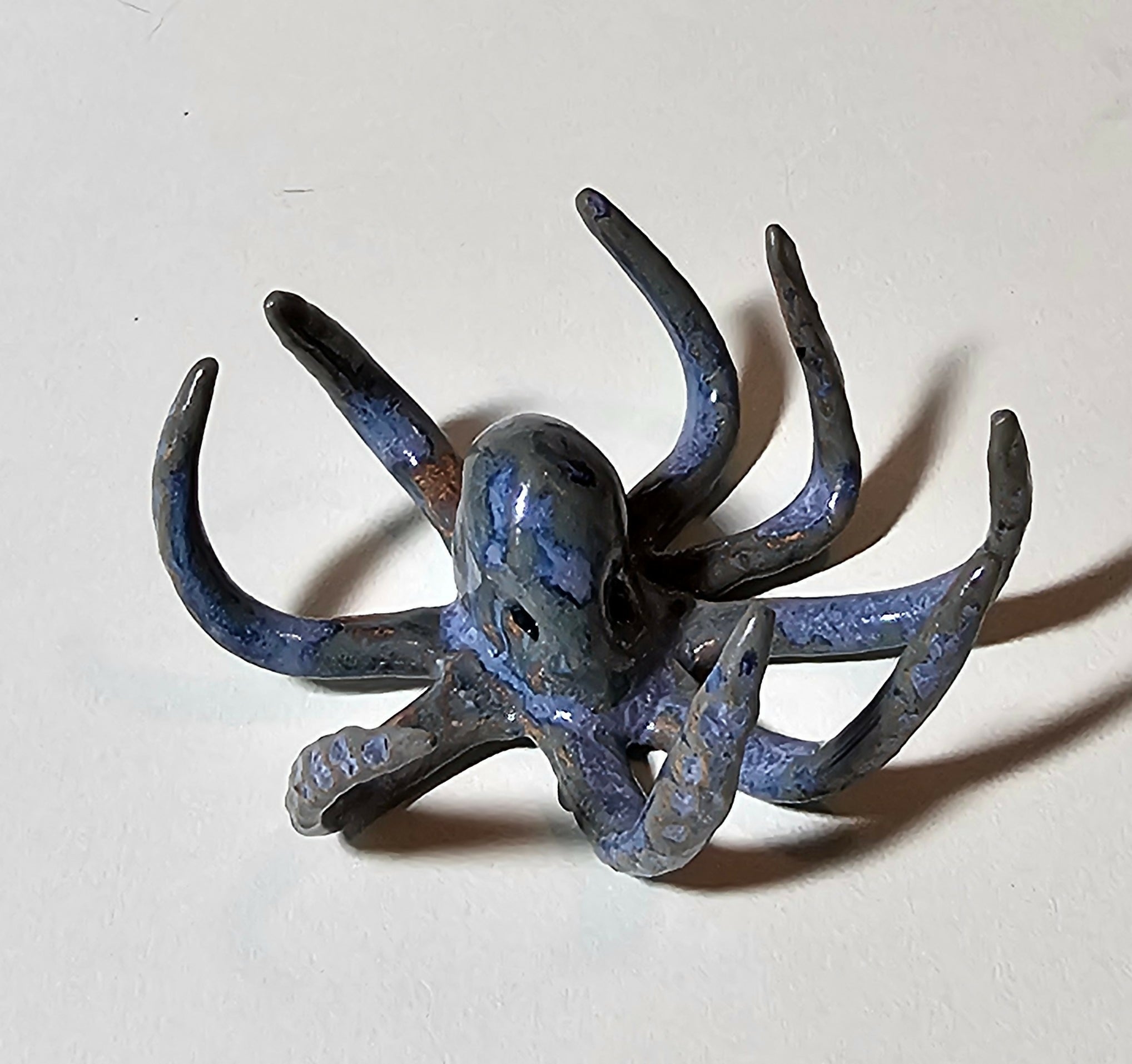 Octopus