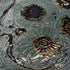 Large Fossil and Wave Dish