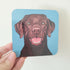 Labrador Dark Brown Dog Coaster