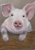 CUTE ANIMAL FRAMED PRINT 7x5in