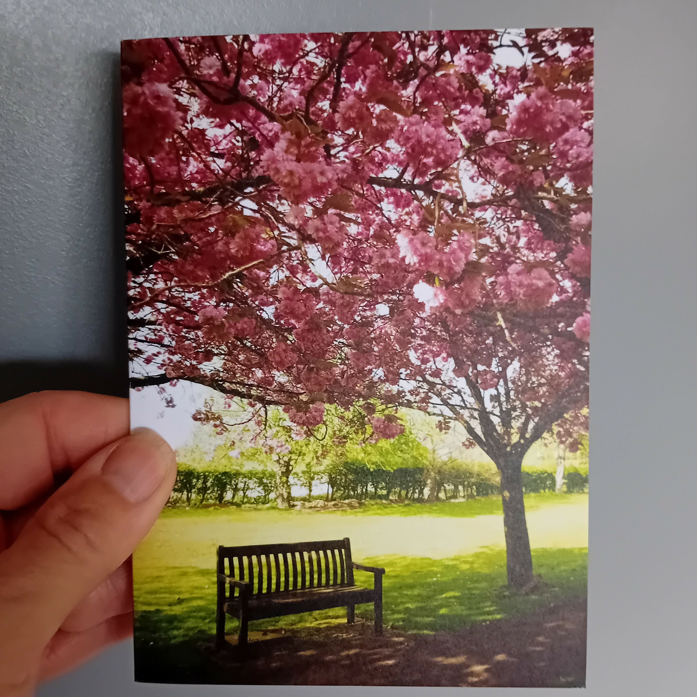Bench In The Blossom (card)