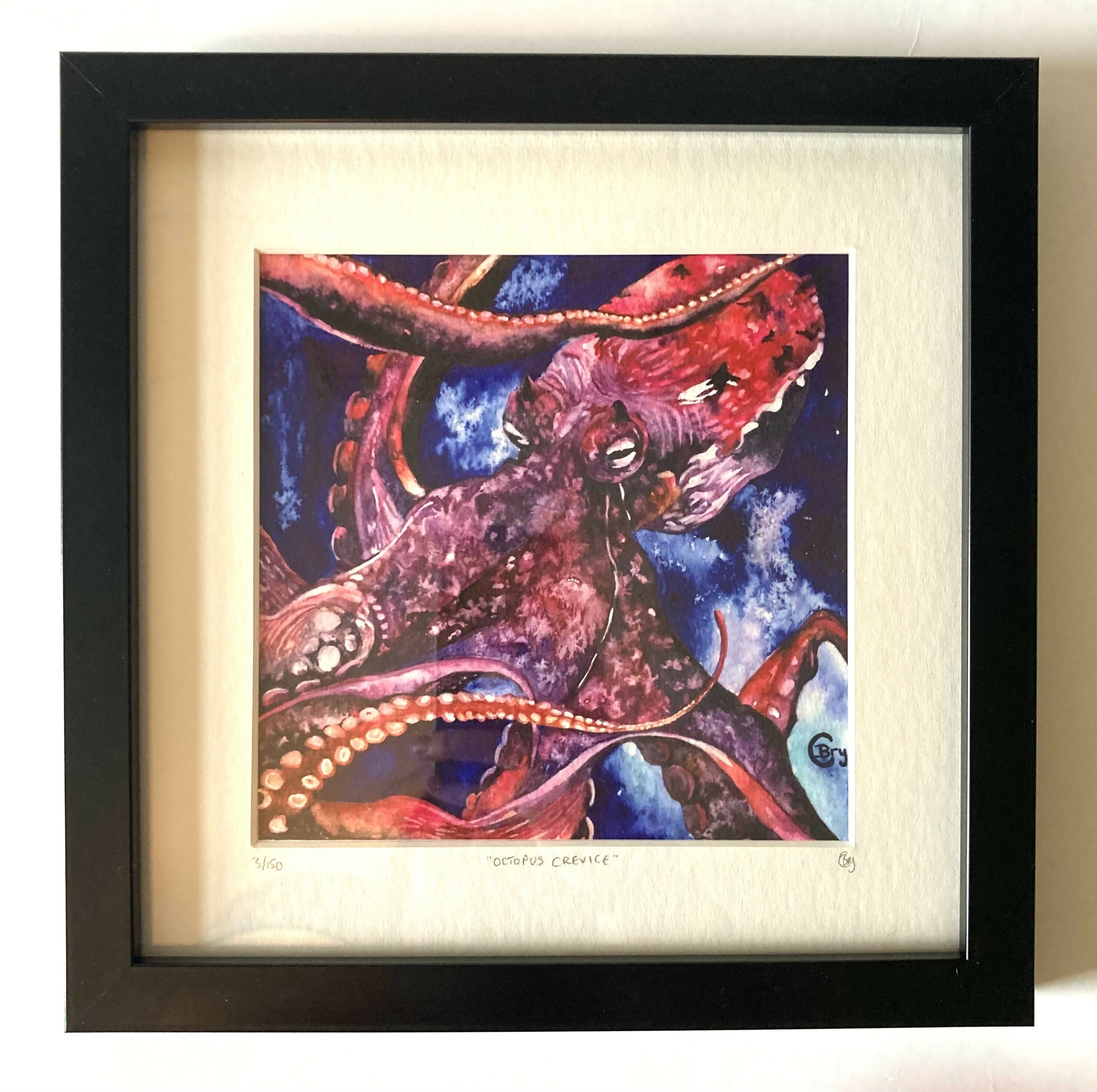 Print - Octopus Crevice