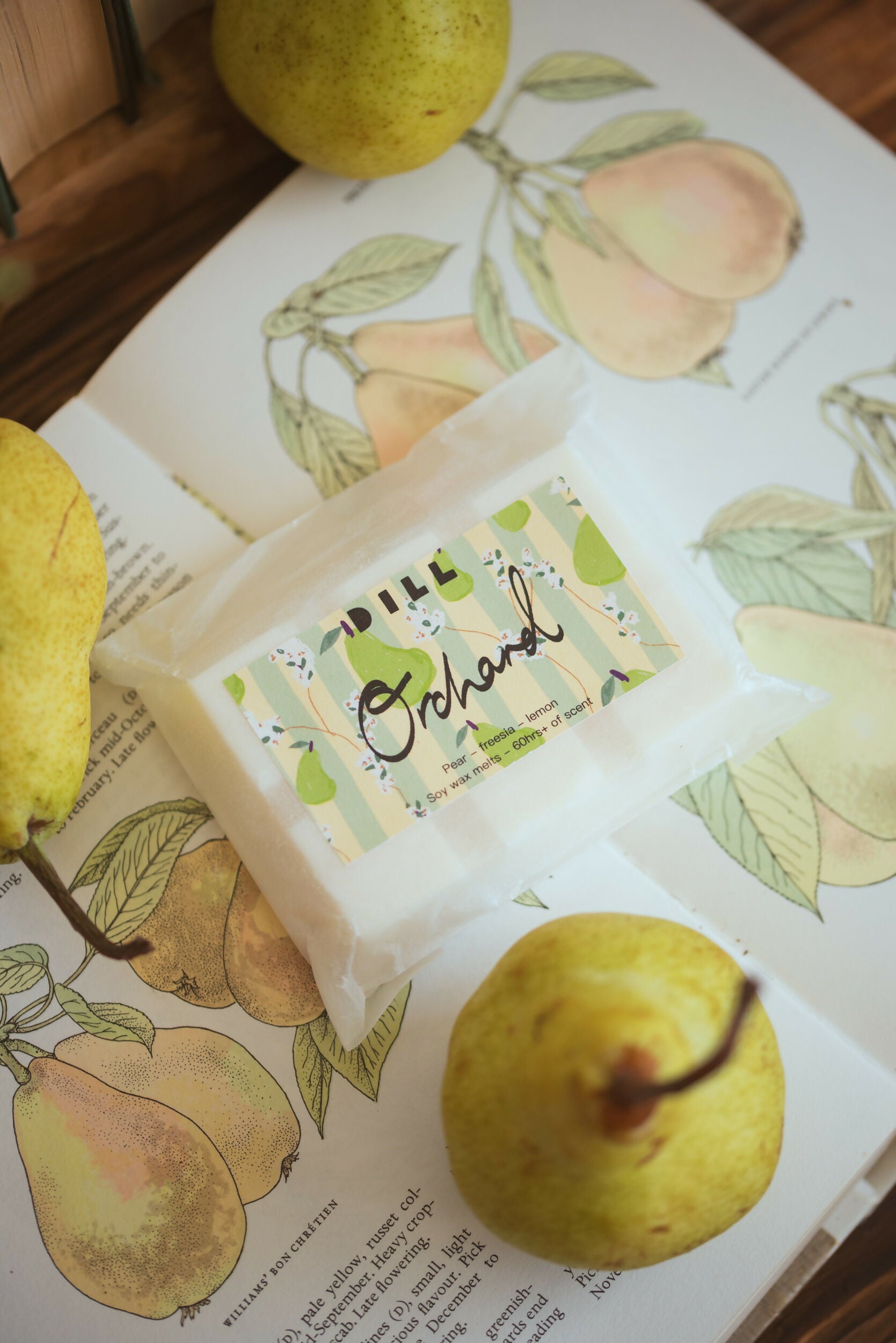 Orchard - Soy Wax Melt Snap Bar