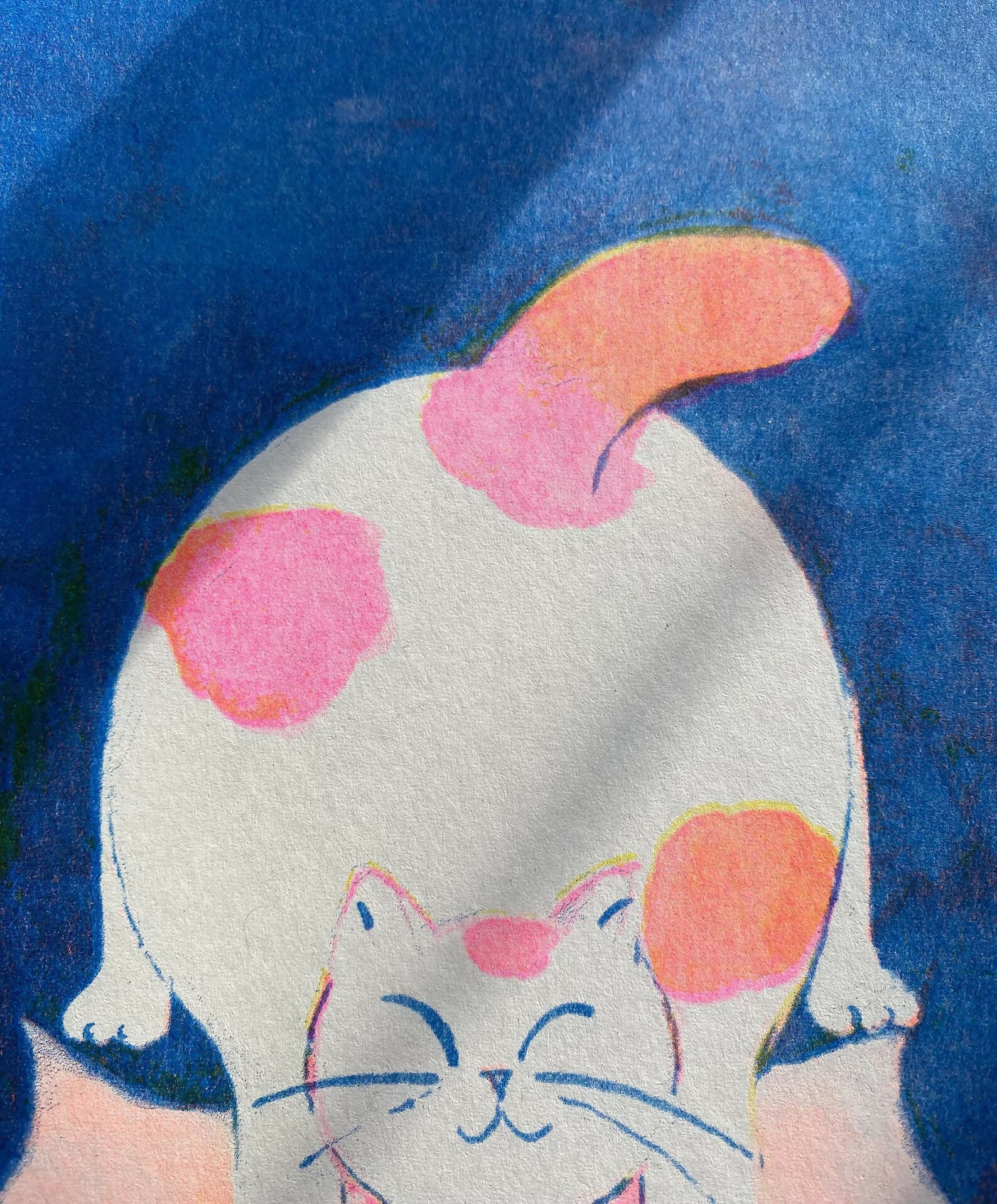 Morning Cat Riso Print