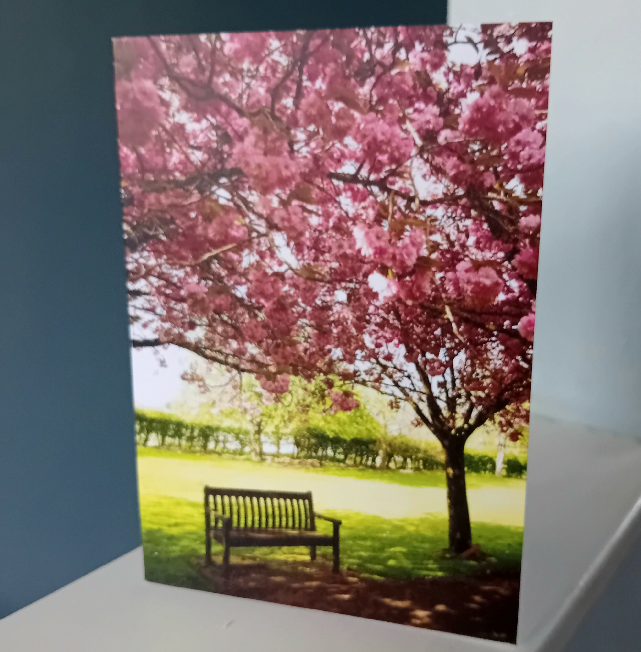 Bench In The Blossom (card)