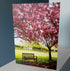 Bench In The Blossom (card)