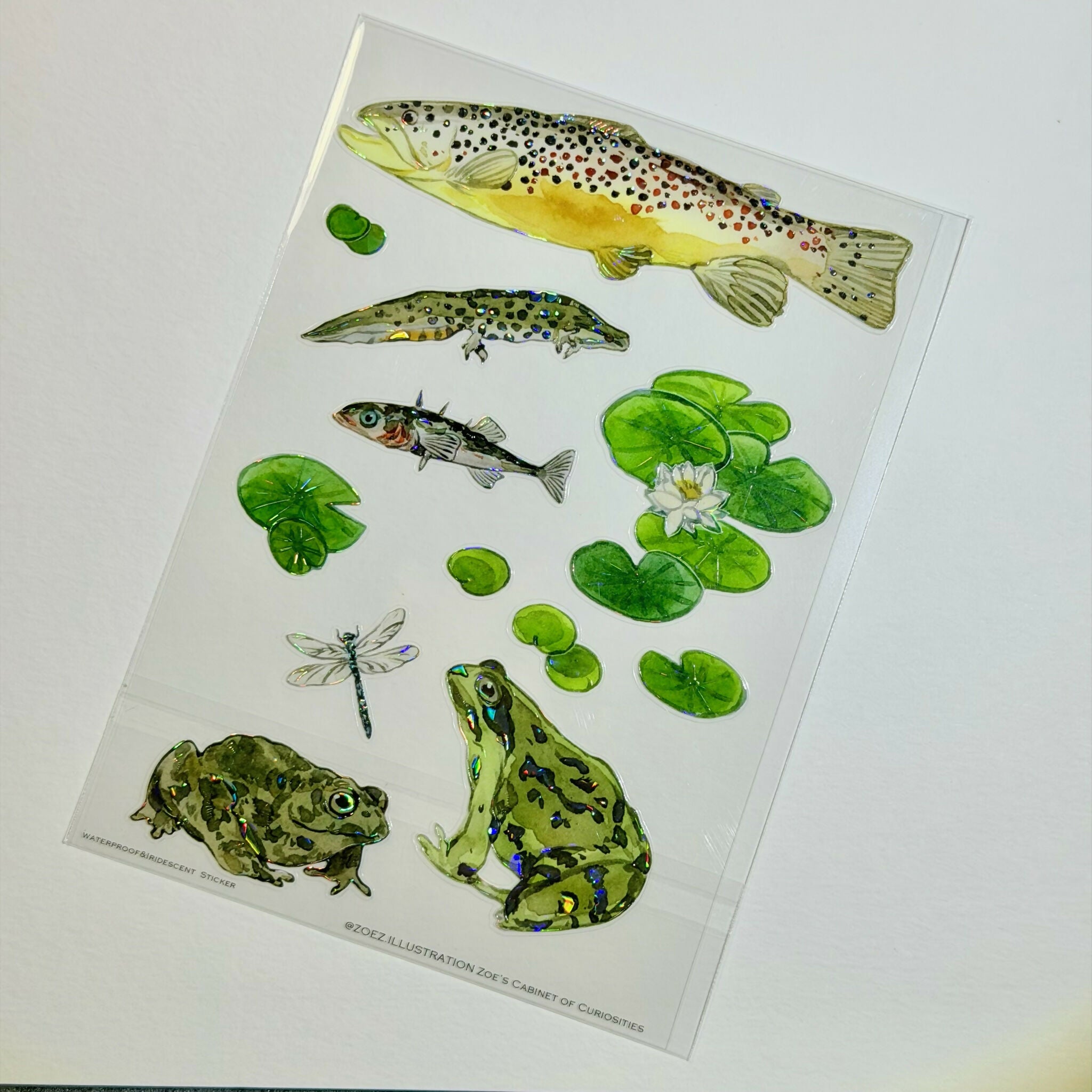 A6 transparent waterproof iridescent wildlife sticker sheet