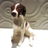 Ceramic liver and white Pointer dog sculpture