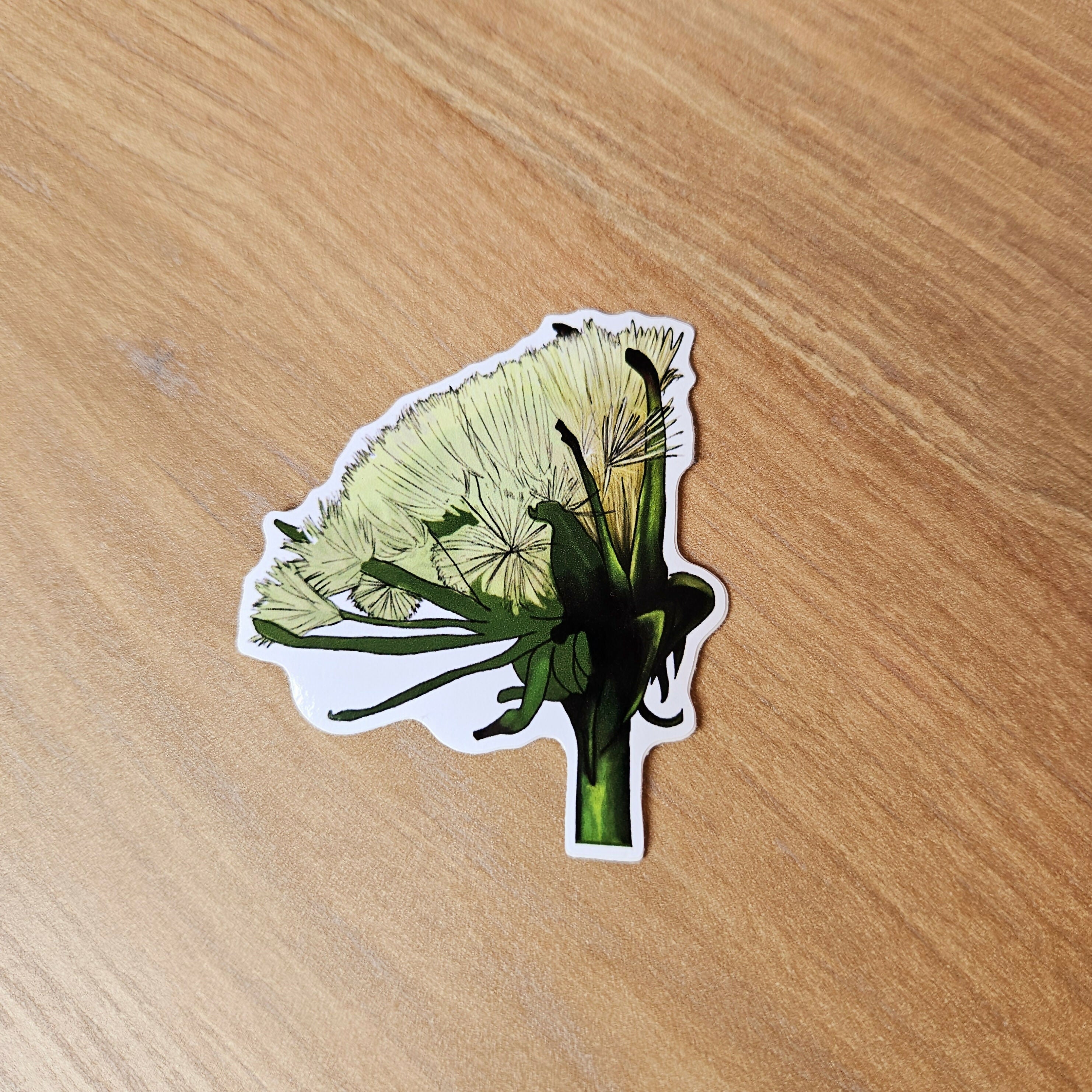 Watercolour Dandelion Flower Vinyl Stickers