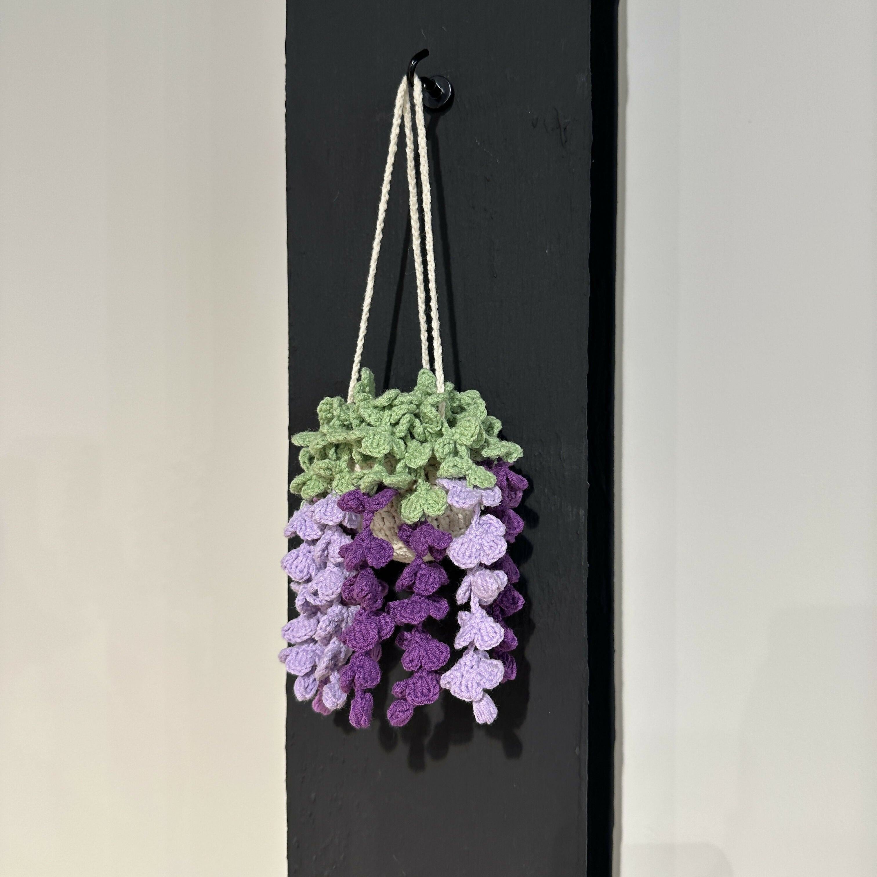 Hanging Crochet Plants
