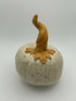 Speckled Pumpkin