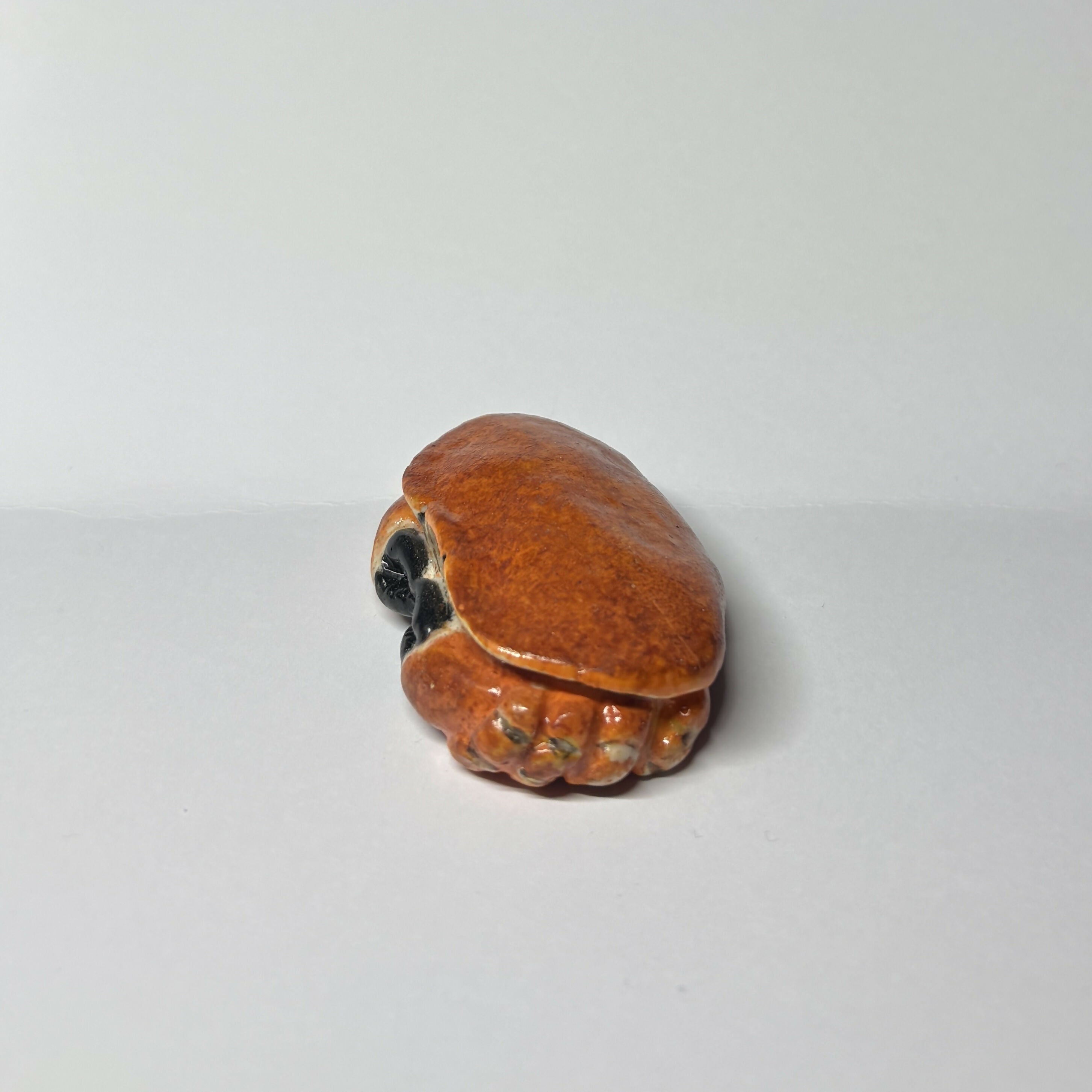 Porcelain Edible Crab