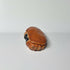 Porcelain Edible Crab