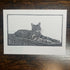 Resting Cat Face - 5x7