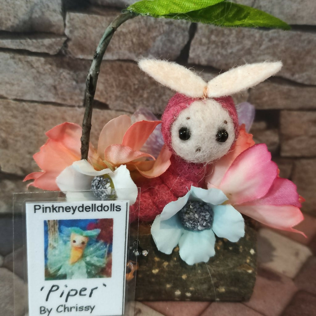 Piper