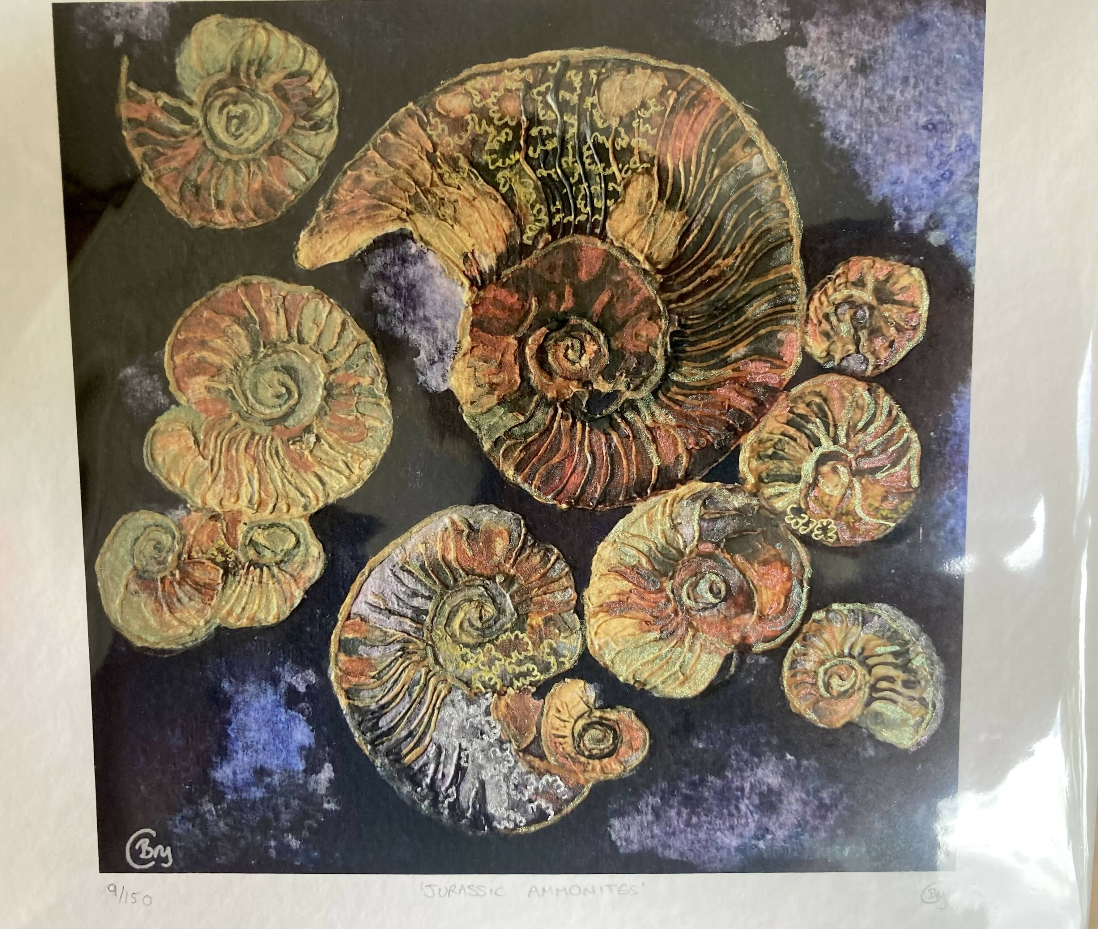 Jurassic Ammonites - Print
