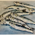Sardines - Hand Finished Print