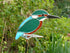 Garden Stake Kingfisher