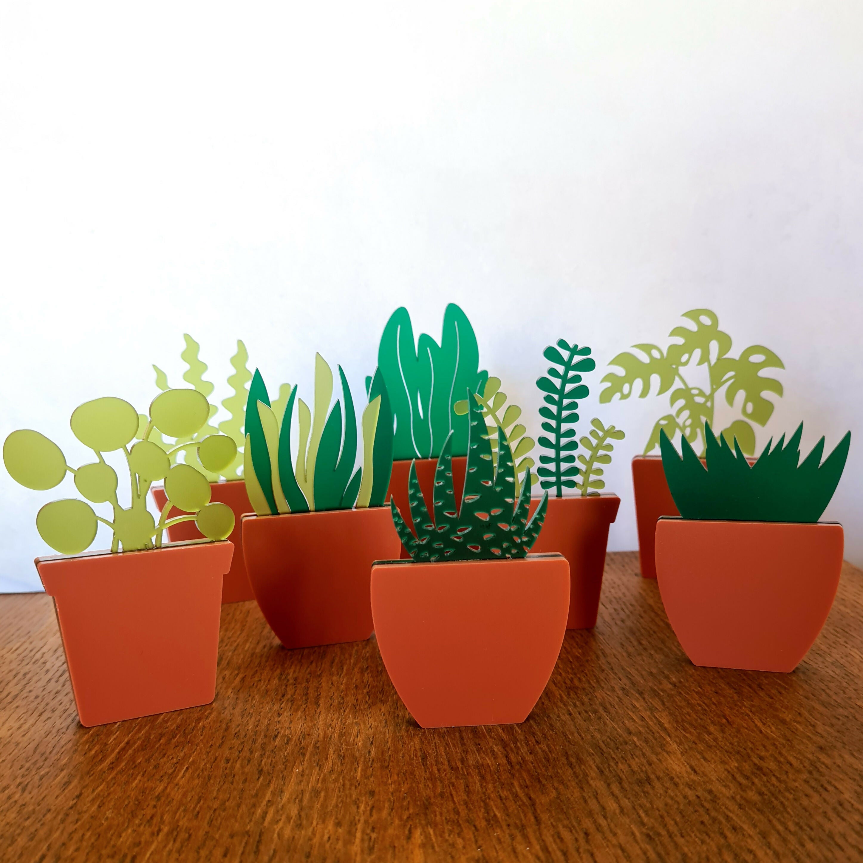 Houseplant - Shelf sitters