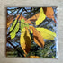 Light Through Leaves - Square Greetings Card